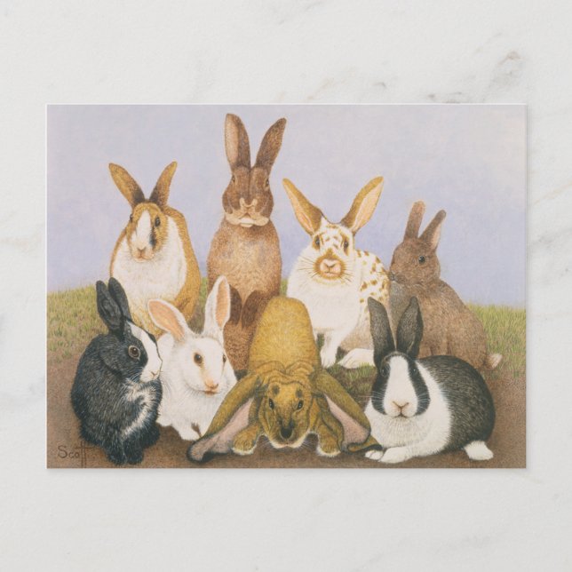Lucky Kaninchen Postkarte (Vorderseite)
