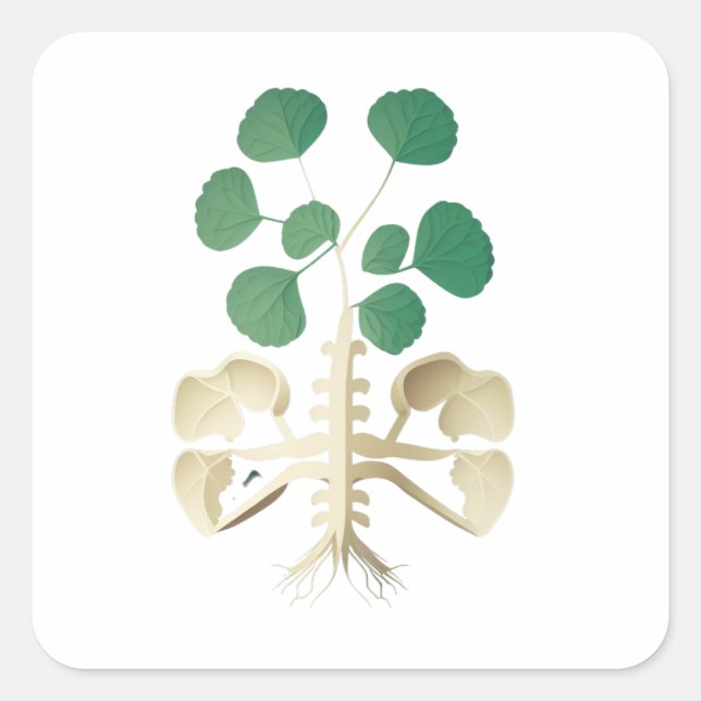 Lucky Kleeblatt St Patrick's Day Quadratischer Aufkleber (Vorderseite)