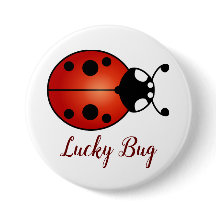 Lucky Ladybug Red Orange Black Ladybird Lucky Bug