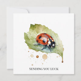 Lucky Ladybug über Leaf Einladung