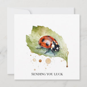 Lucky Ladybug über Leaf Einladung