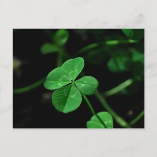 Lucky Postkarte