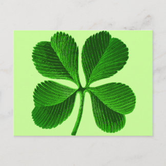 Lucky Vierblättriges Kleeblatt Postkarte