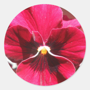 Lucrezia Runder Aufkleber