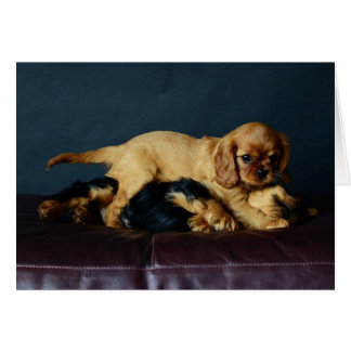 Lucy battant son frère