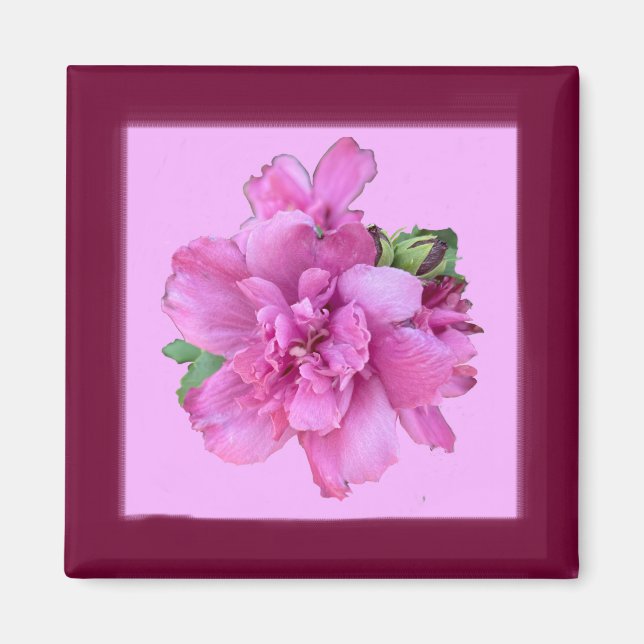 Lucy Rose Magnet Carré (Devant)