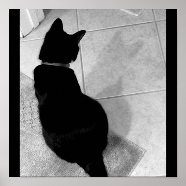 Lucy's Shadow B+W Poster (Vorne)