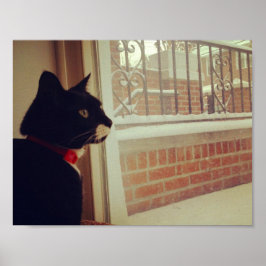Lucy's Snow Day Poster