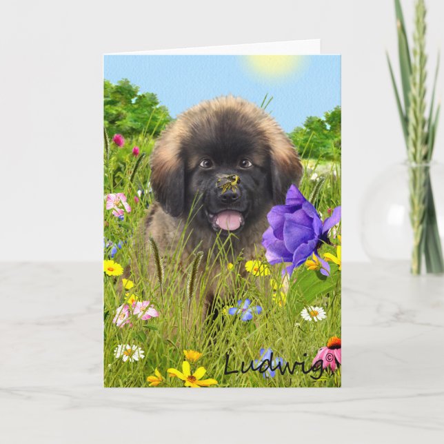 Ludwig la carte de voeux de chiot de Leonberger (Devant)