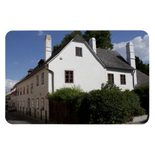 Ludwig van Beethoven House Magnet