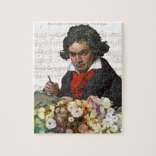 Ludwig von Beethoven Mashed