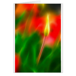 Lueur verte, rouge et jaune de tulipe