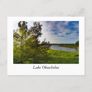 Luft aus dem Okeechobee-See Postkarte