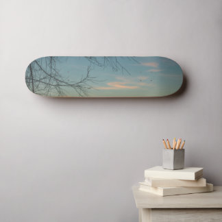 Luft und Leichtigkeit Skateboard