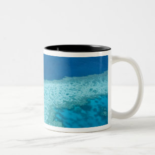 Luftansicht des Great Barrier Reef von der Zweifarbige Tasse