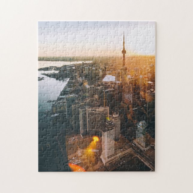 Luftaufnahme aus Toronto, Ontario | Kanada (Vertikal)