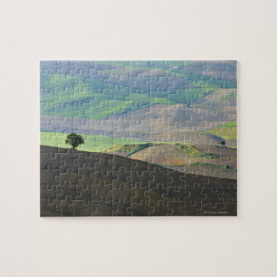 Luftaufnahme der ländlichen Landschaft nahe Ronda