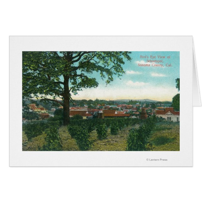 Luftaufnahme der Stadt Sebastopol, CA (Vorderseite (Horizontal))