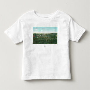 Luftaufnahme der Stadt, Sonoma County vom Hügel Kleinkind T-shirt