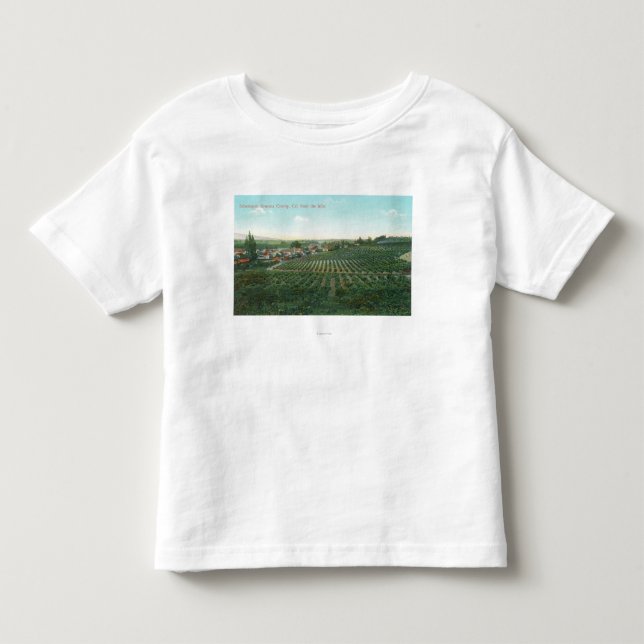 Luftaufnahme der Stadt, Sonoma County vom Hügel Kleinkind T-shirt (Vorderseite)
