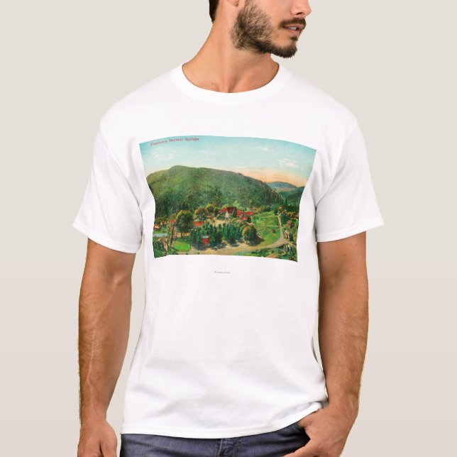 Luftaufnahme der TownBartlett Frühlinge, CA T-Shirt (Vorderseite)
