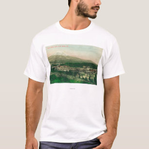 Luftaufnahme der Unkraut-Station an Basis Mt. T-Shirt