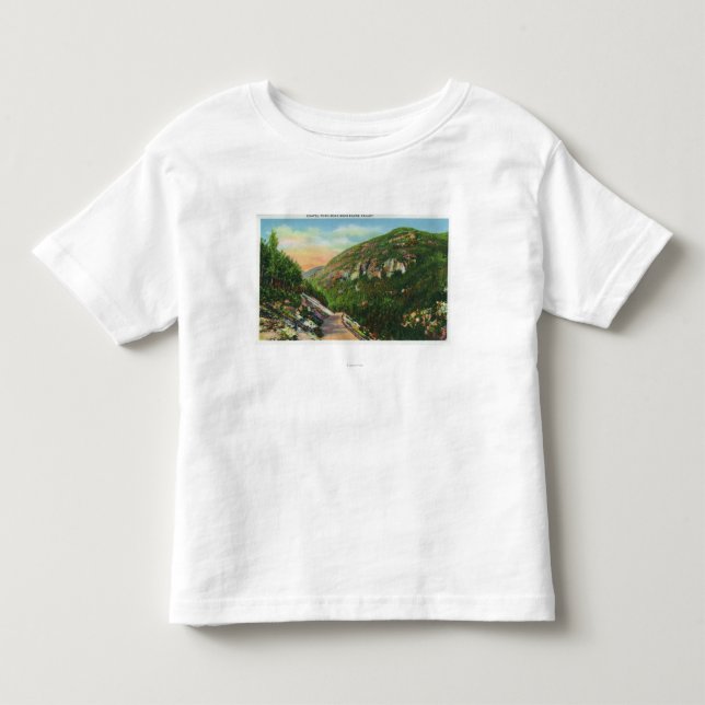 Luftaufnahme des Fisch-Nebenfluss-Bodens, Saranac Kleinkind T-shirt (Vorderseite)