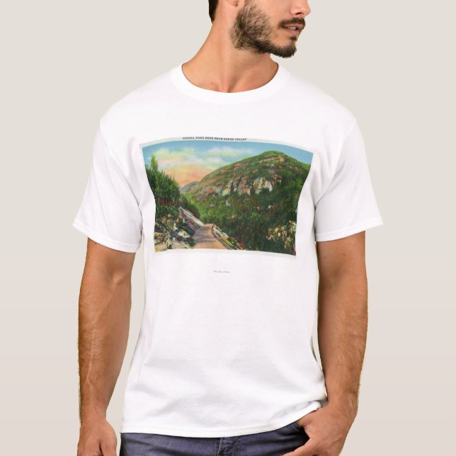 Luftaufnahme des Fisch-Nebenfluss-Bodens, Saranac T-Shirt (Vorderseite)