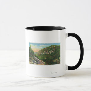 Luftaufnahme des Fisch-Nebenfluss-Bodens, Saranac Tasse