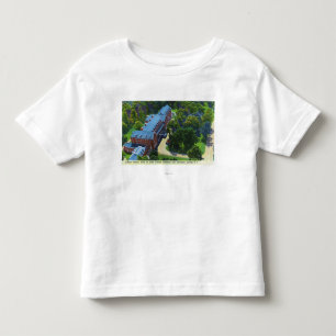 Luftaufnahme des Gideon Putnam Hotels, Kleinkind T-shirt