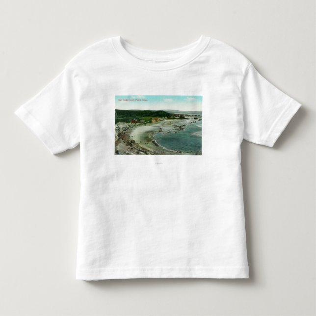 Luftaufnahme des Siegels schaukelt Erholungsort Kleinkind T-shirt (Vorderseite)