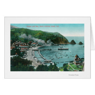 Luftaufnahme von Avalon und von Bucht