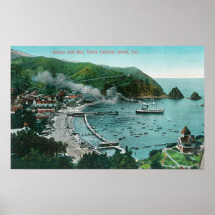 Luftaufnahme von Avalon und von Bucht Poster