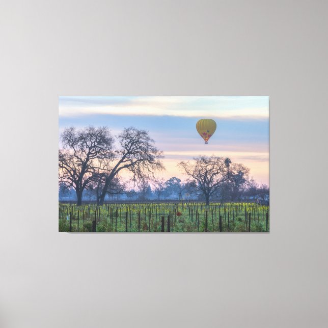 Luftballon über Weinhof Leinwanddruck (Vorderseite)