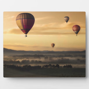 Luftballons Fotoplatte