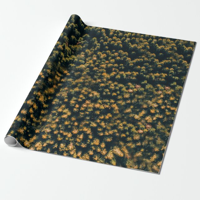 Luftbild der Bäume Geschenkpapier (Ungerollt)