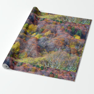 Luftbild der farbenfrohen Bäume des Herbstes Geschenkpapier