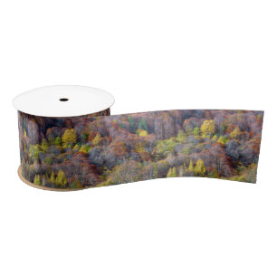 Luftbild der farbenfrohen Bäume des Herbstes Satinband