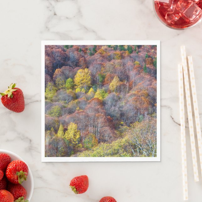 Luftbild der farbenfrohen Bäume des Herbstes Serviette (Beispiel)