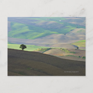 Luftbild der Landschaft des ländlichen Raums in de Postkarte
