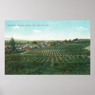Luftbild der Stadt, Sonoma Landkreis vom Hügel Poster