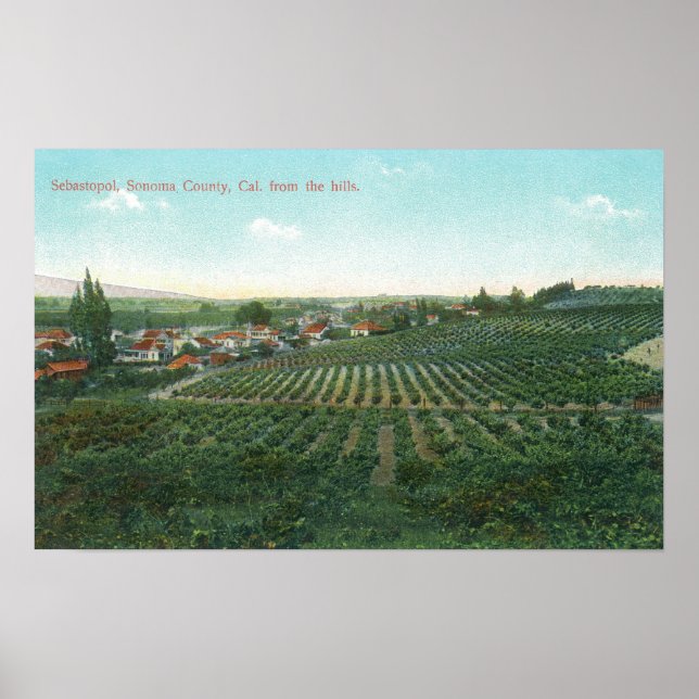 Luftbild der Stadt, Sonoma Landkreis vom Hügel Poster (Vorne)