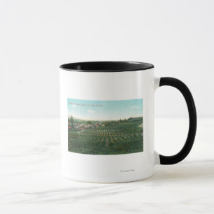 Luftbild der Stadt, Sonoma Landkreis vom Hügel Tasse
