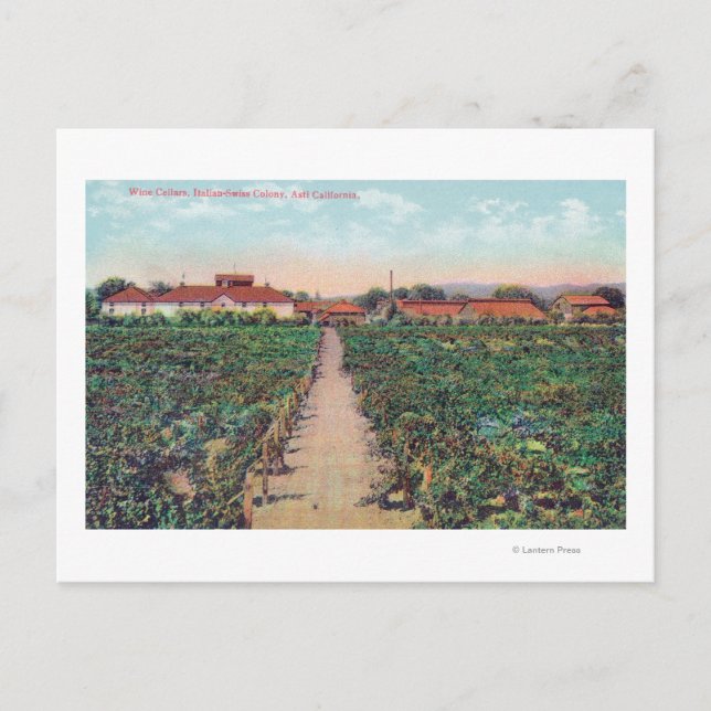 Luftbild der Weinberge und Weinkeller Postkarte (Vorderseite)