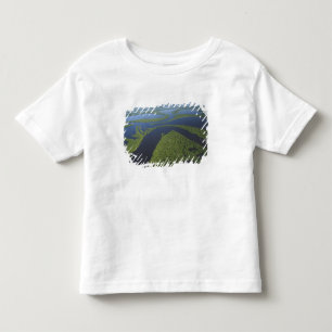 Luftbild des Anavilhanas-Archipels, überflutet Kleinkind T-shirt