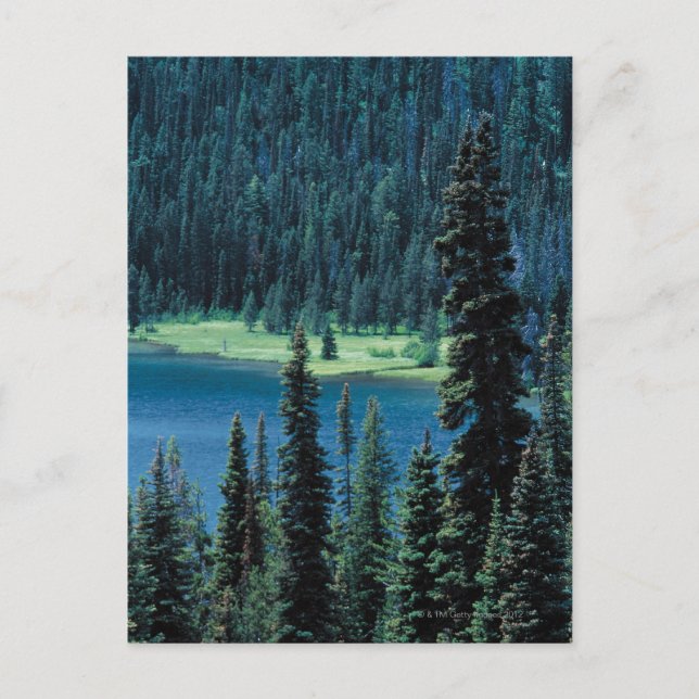 Luftbild des Grand Teton Nationalparks , Postkarte (Vorderseite)