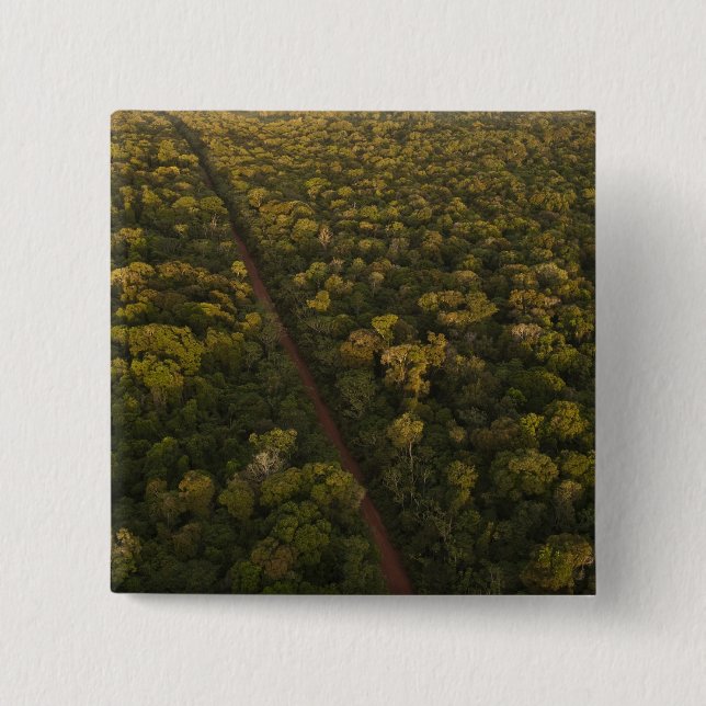 Luftbild des Regenwaldes. Iwokrama Reserve, 2 Button (Vorderseite)