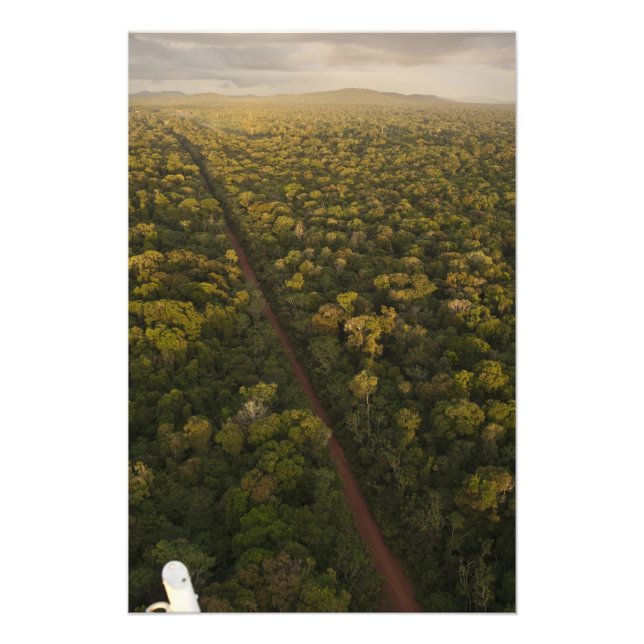 Luftbild des Regenwaldes. Iwokrama Reserve, 2 Fotodruck (Vorne)