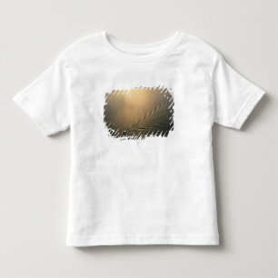 Luftbild eines Bootes im Gatunsee Panama Kleinkind T-shirt
