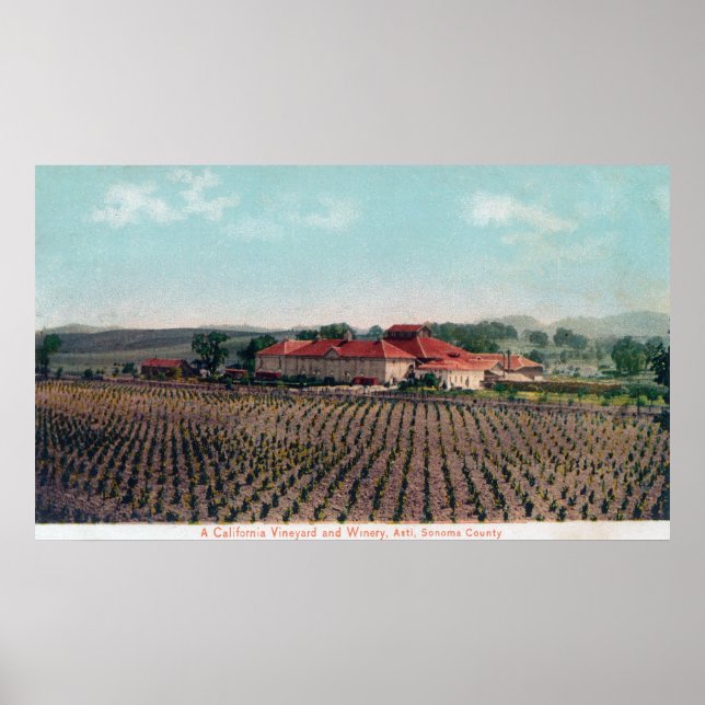 Luftbild eines kalifornischen Weinberges und Weink Poster (Vorne)